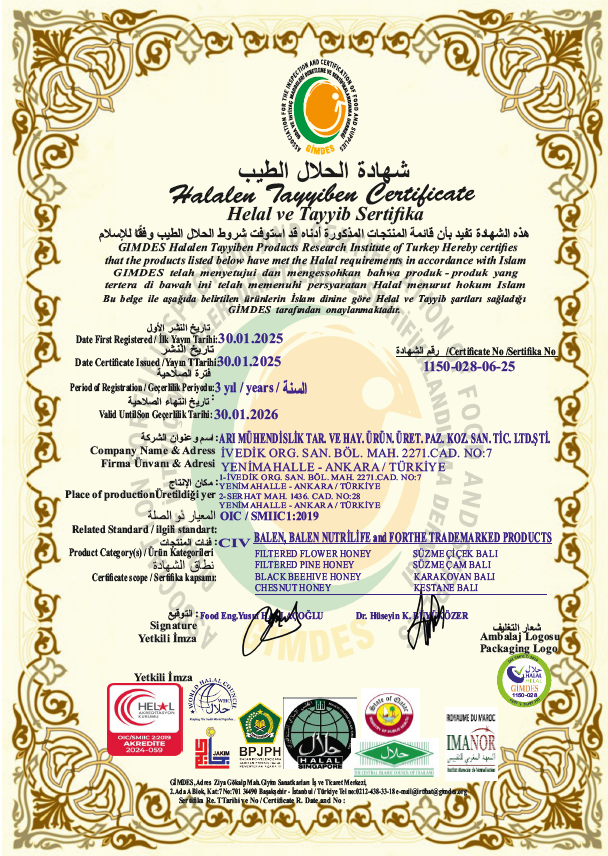 image3.png