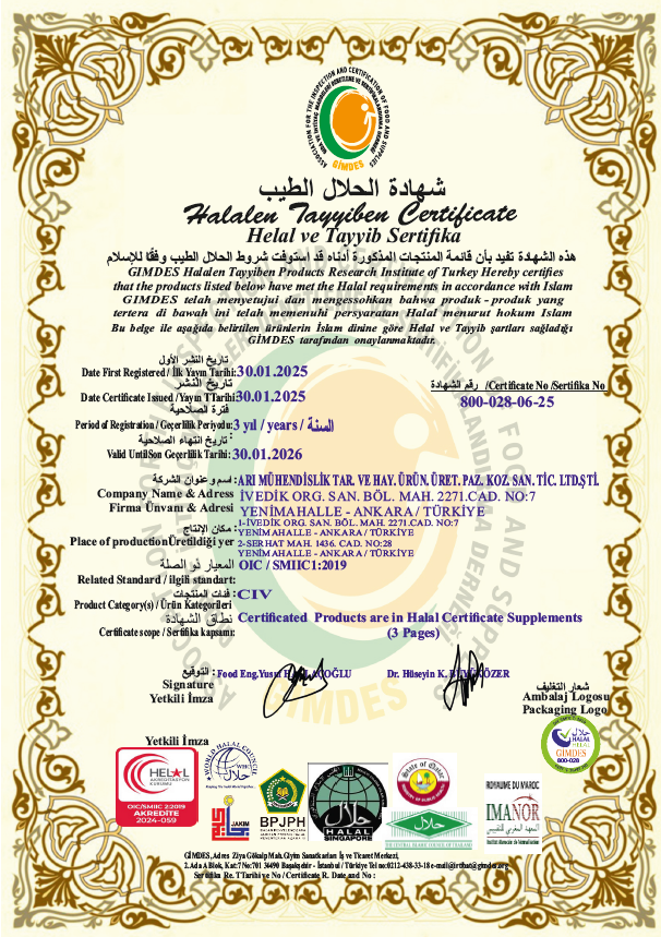 image4.png